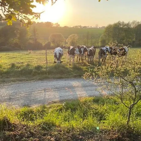 Les Ecogites De La Pierre Le Matz * Chauvé